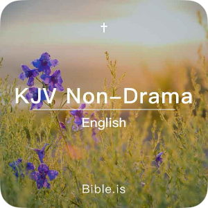 KJV audio Bible — English