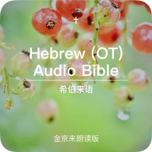 Hebrew Old Testament audio Bible