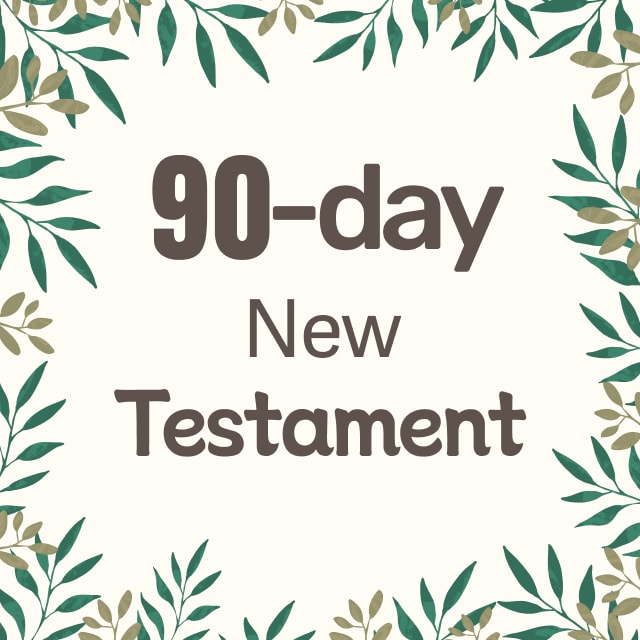 90-Day New Testament Reading Plan