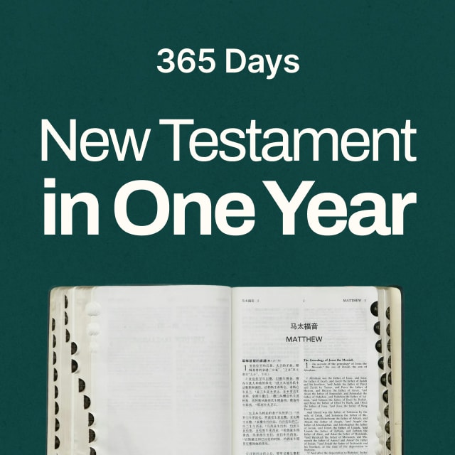 New Testament in One Year Reading Plan