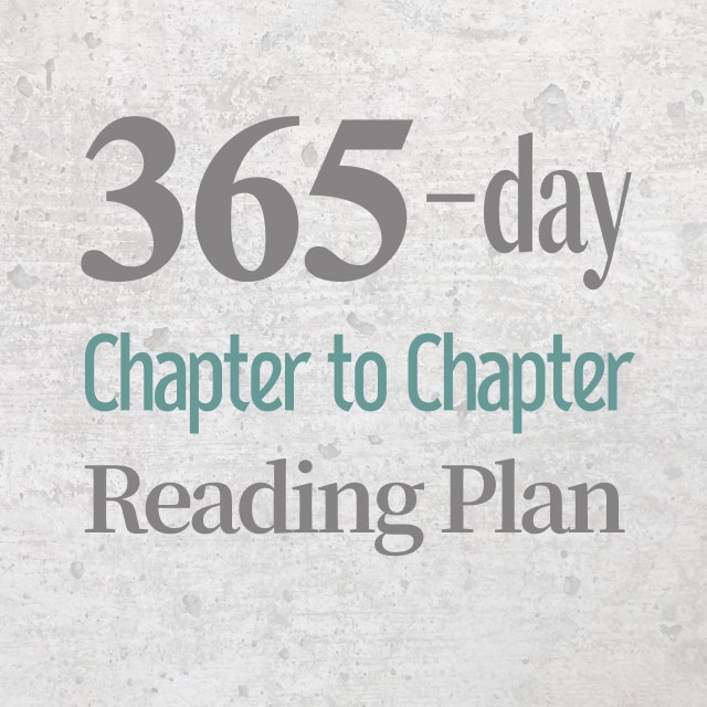 365-Day Chapter-to-Chapter Reading Plan